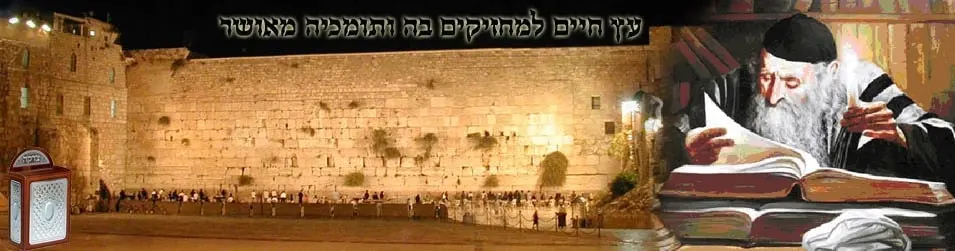 Torah Scholar Program